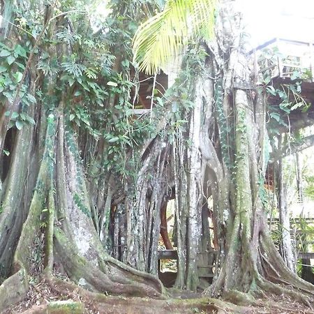 Topos Tree House Cahuita Exterior foto