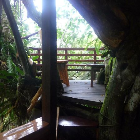 Topos Tree House Cahuita Exterior foto