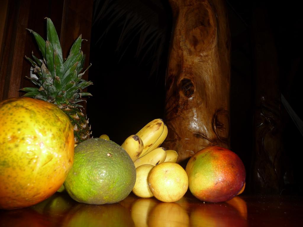 Topos Tree House Cahuita Exterior foto