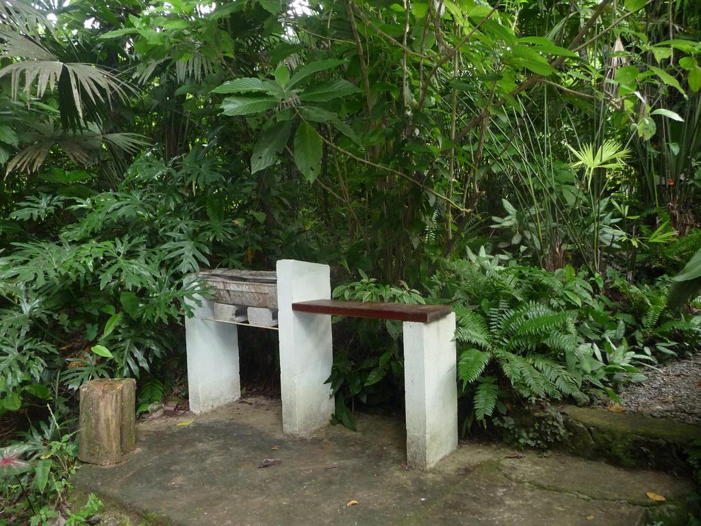 Topos Tree House Cahuita Exterior foto