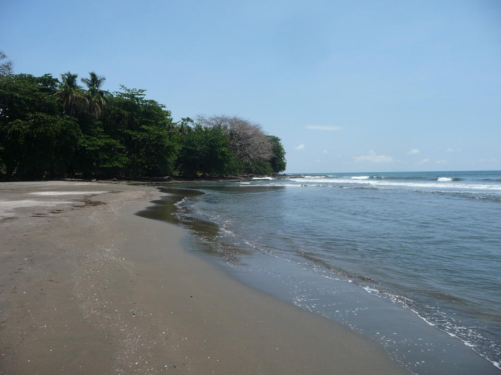 Topos Tree House Cahuita Exterior foto