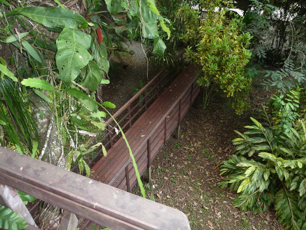 Topos Tree House Cahuita Exterior foto